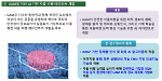 다중 인공지능 에이전트 기반 초자율 무인기 실시간 임무계획 알고리즘 개발