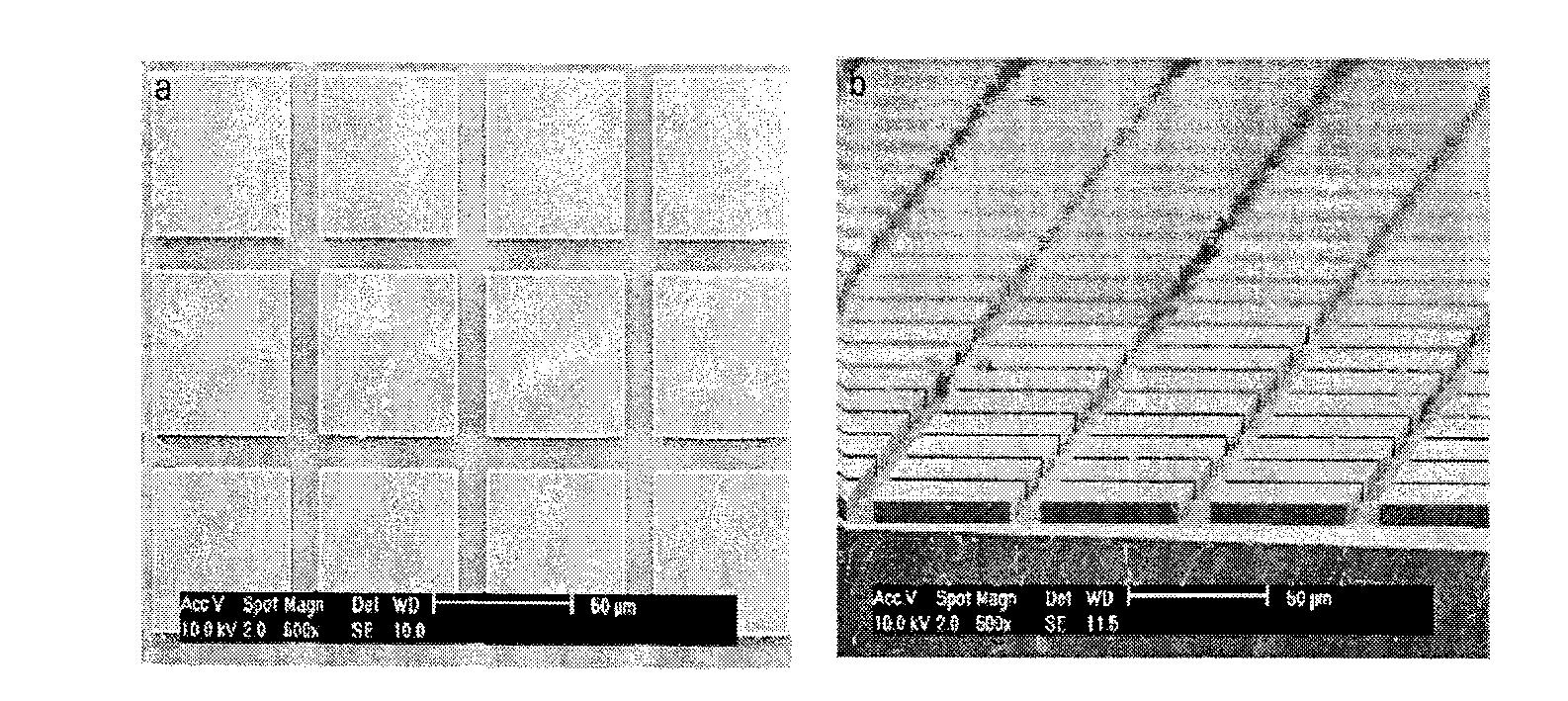 유리기판위에 PR 물질인 SU-8이 픽셀화된 어레이의 SEM 사진: 표면(좌)과 측면(우)