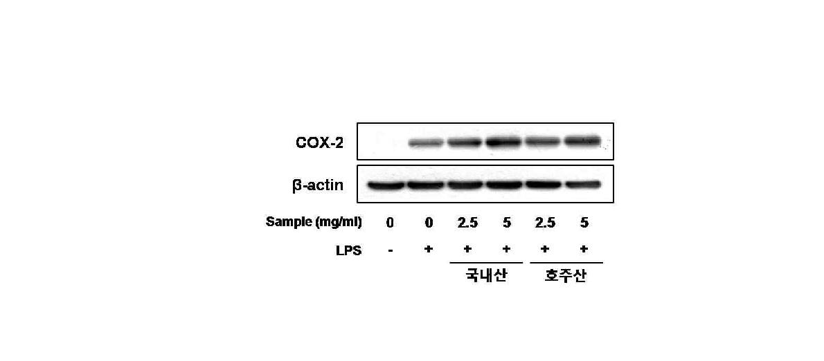 국내산 및 호주산 말분 추출물이 LPS로 염증반응이 유도된 대식세포에서