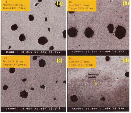 DCI재료의 Tempering 온도 증가에 따른 흑연 석출