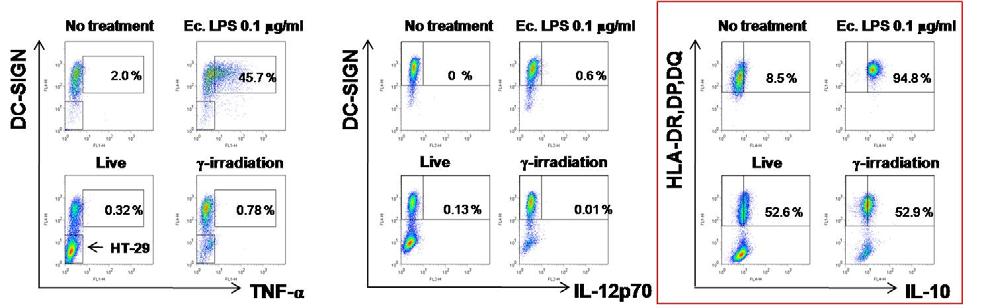 방사선 조사한 HT-29로 자극한 수지상세포의 싸이토카인 발현양상 연구(1): Intracelluar staining을 이 용하여 염증성 싸이토카인(TNF-α, IL-12p70) 및 항염증성 싸이토카인(IL-10)의 발현 양상을 연구하였음