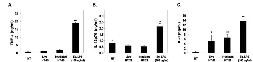 방사선 조사한 HT-29로 자극한 수지상세포의 싸이토카인 발현양상 연구(2): ELISA를 이용 하여 염증성 싸이토카인(TNF-α, IL-12p70) 및 케모카인(IL-8)의 발현 양상을 연구하였음