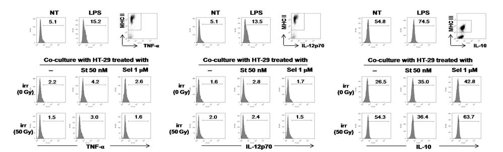항암제 및 방사선 또는 이들을 병용 처리하여 세포사멸을 유도한 HT-29에 대한 수지상세포의 염증 성 싸이토카인(TNF-α, IL-12p70) 및 항염증성 싸이토카인(IL-10)의 발현 양상 연구