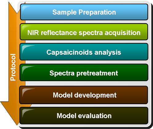 Flow chart of research process