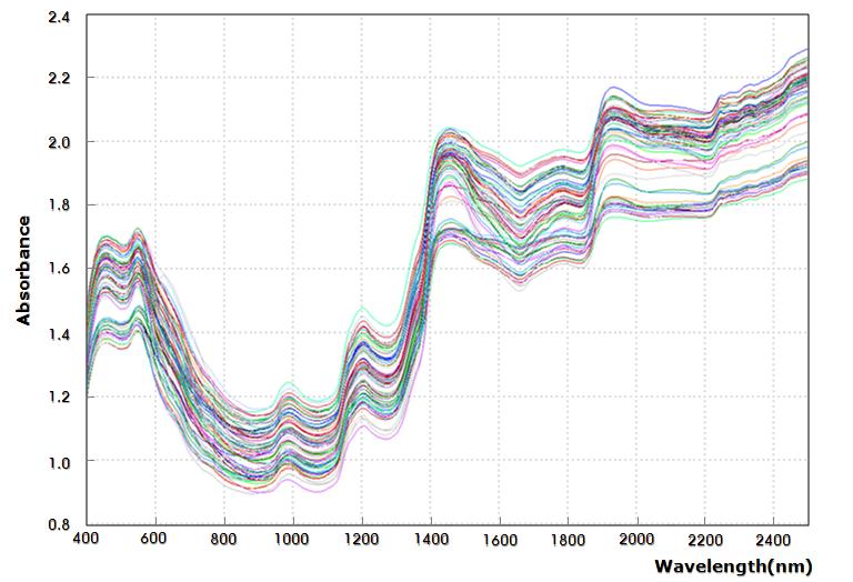 Near-infrared absorbance spectra of Korean hot pepper pastes.