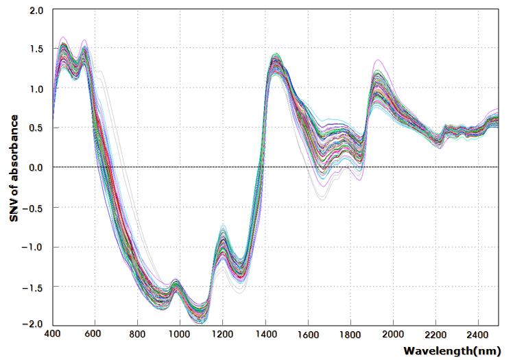 Near-infrared absorbance spectra with pre-treatment : Baseline correction+SNV.