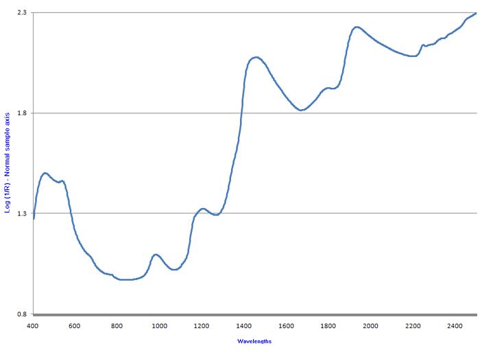 Average spectrum of kimchi samples.