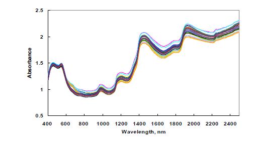 Absorbance spectra of Kimchi obtained from NIRS6500.