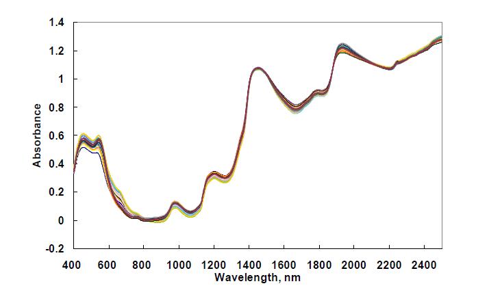 Pretreated absorbance spectra with baseline correction and MSC(NIRS6500).