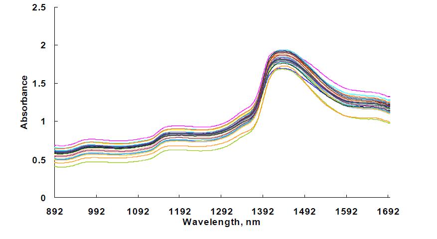 Absorbance spectra of Kimchi obtained from NIR-128.