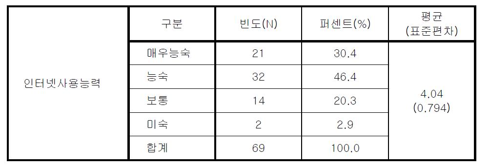 인터넷 사용능력