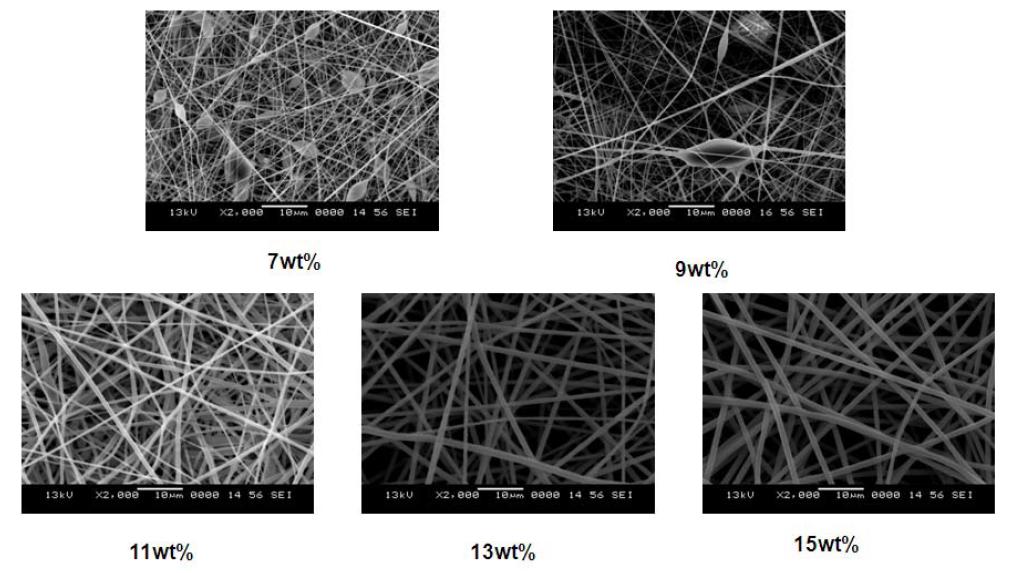 농도변수에 따른 폴리이미드 나노웹의 SEM image