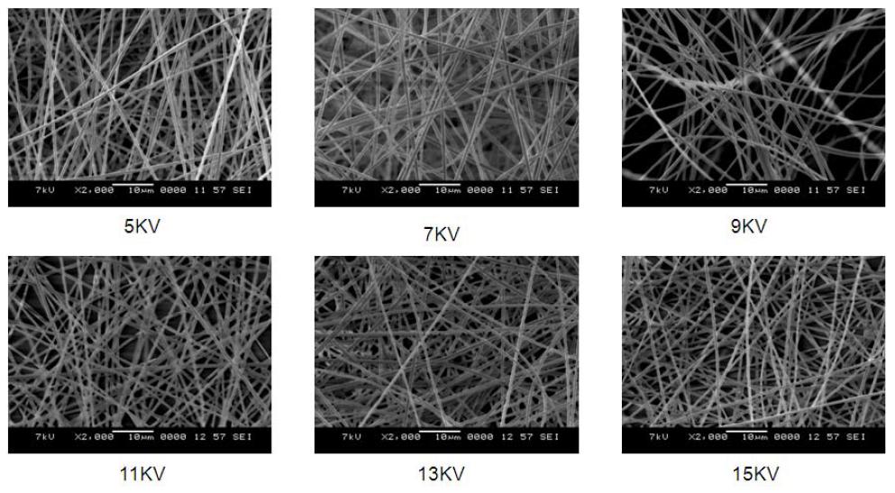 전압변수에 따른 폴리이미드 나노웹의 SEM image