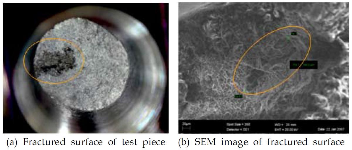 Fractured surface and SEM image of test piece