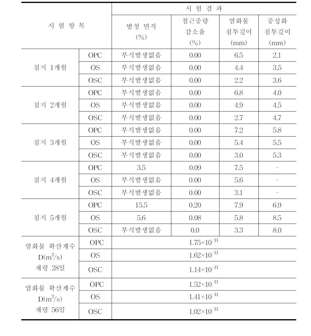 시험 결과