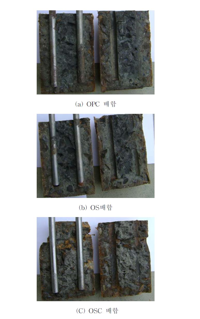 복합열화 5개월 철근 부식 모습