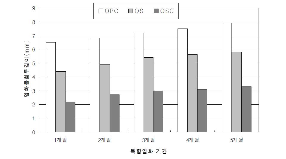 복합열화 5개월 염화물 침투깊이