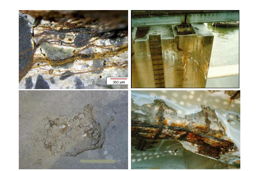 콘크리트 구조물의 각종 열화현상