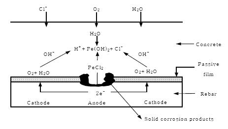 염해에 의한 철근의 부식 매커니즘