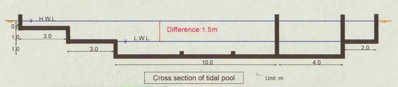 간만대 설계시 단면도