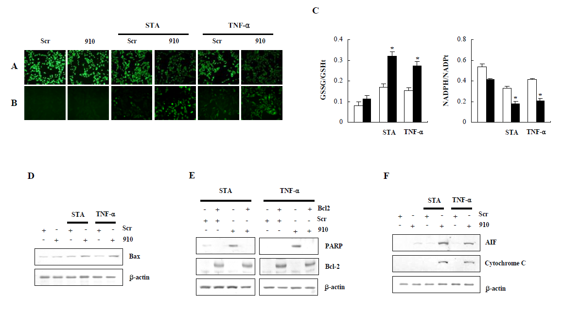 Effects of IDPm on mitochondrial dysfunction and mitochondrial redox status of HeLa transfectant cells exposed to staurosporine or TNF-α.