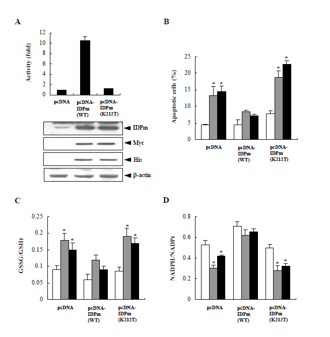 Protective effect of IDPm against staurosporine-or TNF-α-induced apoptosis. (A)