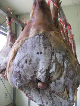 Dry-cured ham manufactured under Korean environment