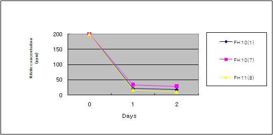 Depletion of nitrite in MRS broth by lactic acid bacteria isolated from dry-cured ham during incubation for 48 hrs at 37℃