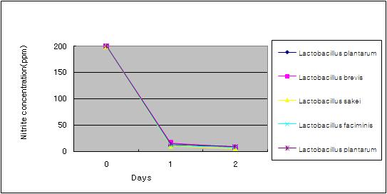 Depletion of nitrite in MRS broth by lactic acid bacteria isolated from kimchi during incubation for 48 hrs at 37℃