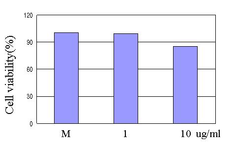 Cytotoxic effect of Ap extract in Jurkat T cells.