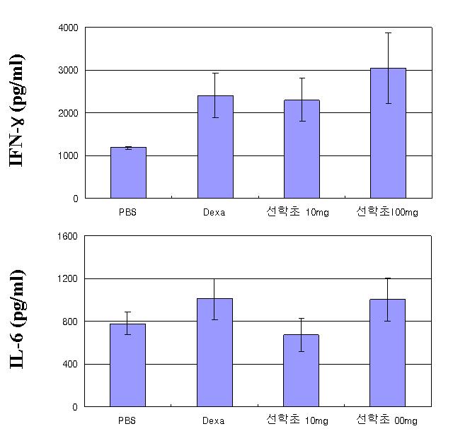 선학초를 투여한 그룹의 비장내 IFN-γ, IL- 6 측정