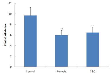 Effects of C&C on clinical skin features and severity in TNCB-induced NC/Nga mice.