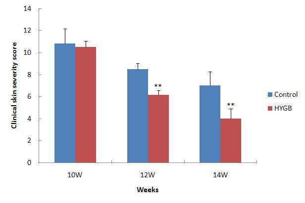 Effects of HYGB on clinical skin features and severity in Biostir AD-induced NC/Nga mice.