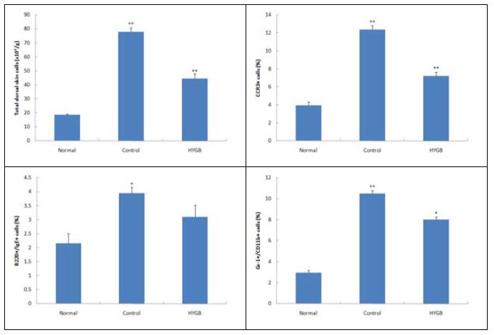 Effects of HYGB on total cell number and CCR3+, B220+/IgE+, Gr-1+/CD11b+ cell rate of dorsal skin in Biostir AD-induced atopic dermatitis model of NC/Nga mice