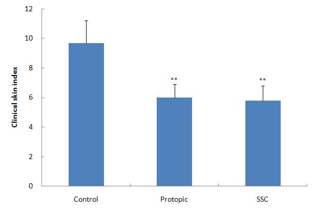 Effects of SSC on clinical skin features and severity in TNCB-induced NC/Nga mice.