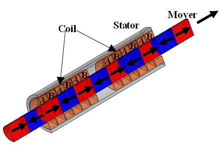 Section view of the tubular linear actuator