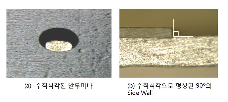 양극 산화된 알루미늄 산화막의 수직 식각 특성