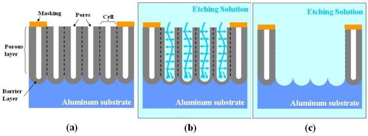 양극 산화에 의해 형성된 다공성 구조 알루미나의 수직 식각 특성