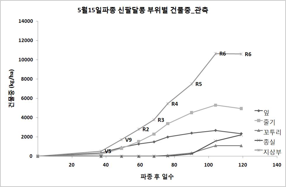 5월 15일 파종 신팔달콩 부위별 건물중 관측 결과