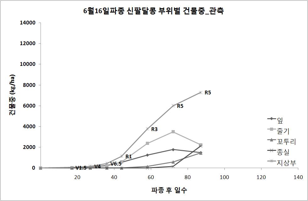 6월 16일 파종 신팔달콩 부위별 건물중 관측 결과