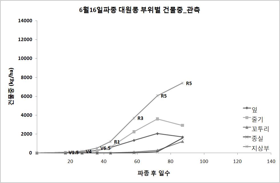 6월 16일 파종 대원콩 부위별 건물중 관측 결과