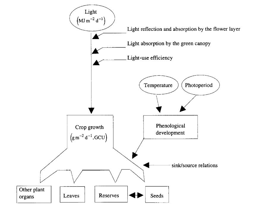 model diagram