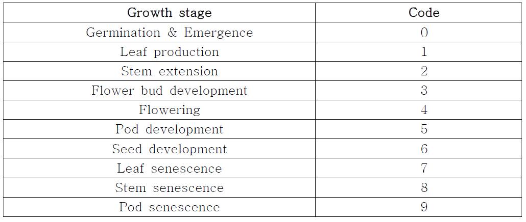 유채의 생육단계 구분