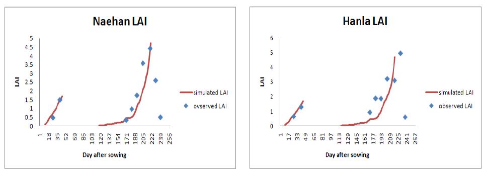 관측한 LAI와 모의된 LAI 값의 비교