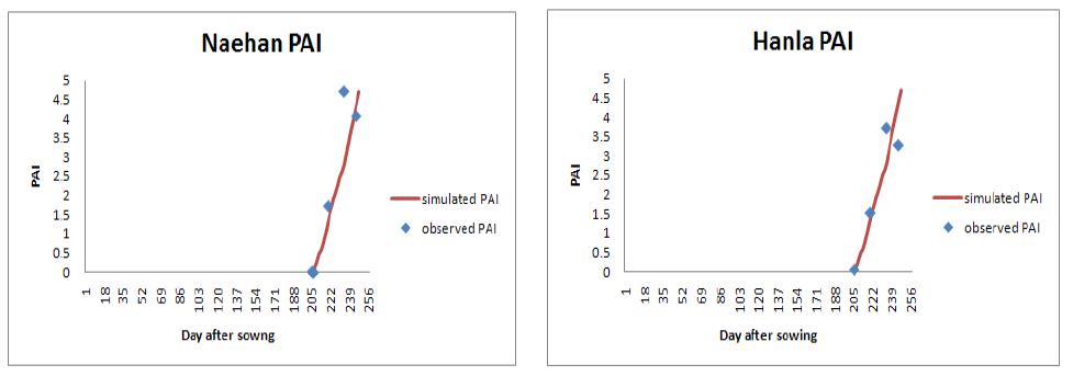 관측한 PAI와 모의된 PAI 값의 비교