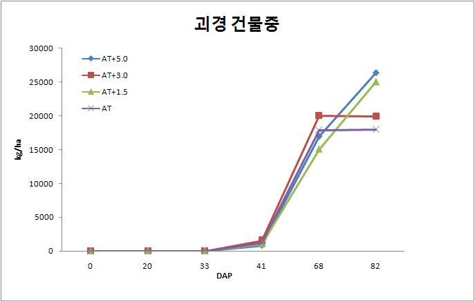 하우스별 괴경 건물중