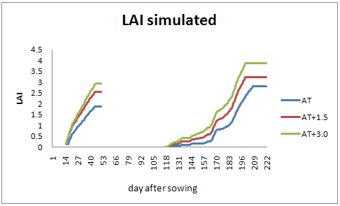 생육 모델을 이용한 온도 조건에 따른 LAI 모의 결과.