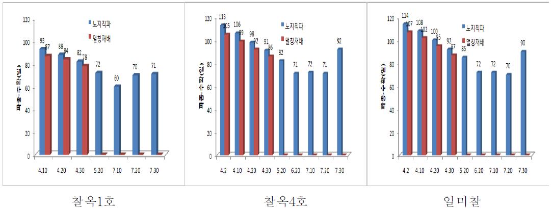 찰옥수수 파종기별 수확일수