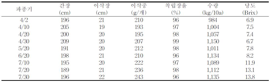 찰옥4호의 파종시기별 생육 및 수량성