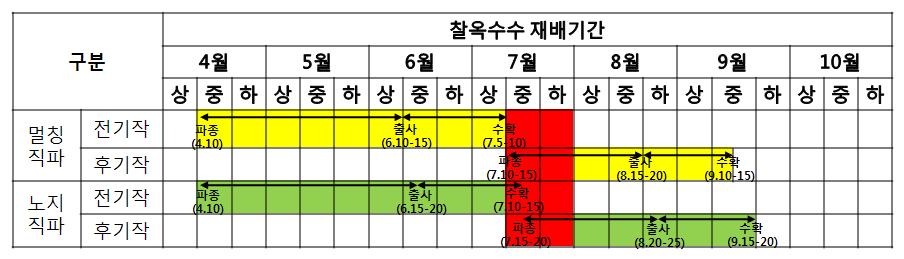 찰옥수수 2기작 작부체계 모델[조생종(찰옥1호) + 조생종(찰옥1호)]